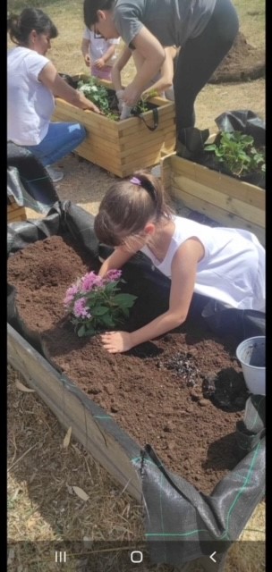 Δελτίο τύπου Α.Μ.Κ.Ε.