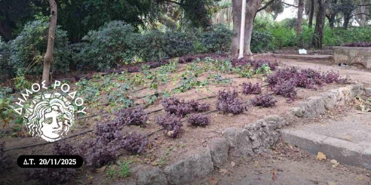 Ο Δήμος Ρόδου δίνει ζωή στα πάρκα της πόλης μετά τη χρόνια εγκατάλειψή τους