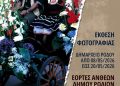 Αναδρομική Έκθεση Φωτογραφίας για τα Ανθεστήρια