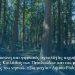 ΔΕΛΤΙΟ ΤΥΠΟΥ ΓΙΑ ΤΗΝ ΠΑΡΑΔΟΣΗ ΤΟΥ ΕΡΓΟΥ SMART FOREST ΡΟΔΟΣ